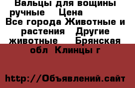 Вальцы для вощины ручные  › Цена ­ 10 000 - Все города Животные и растения » Другие животные   . Брянская обл.,Клинцы г.